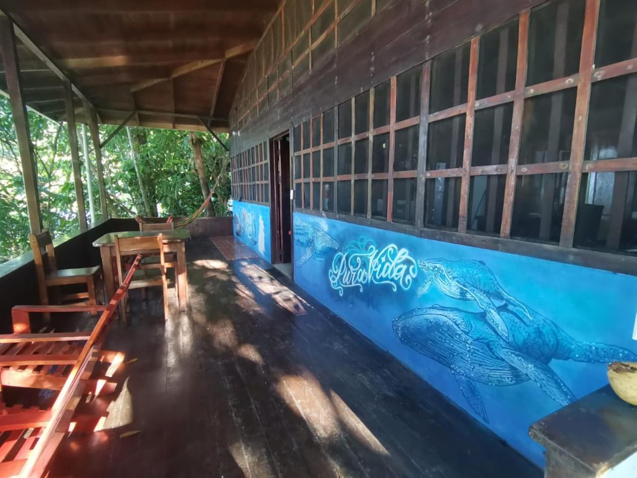 Pirate Drake Beach Hostel & Tour Company Drake Bay Bagian luar foto