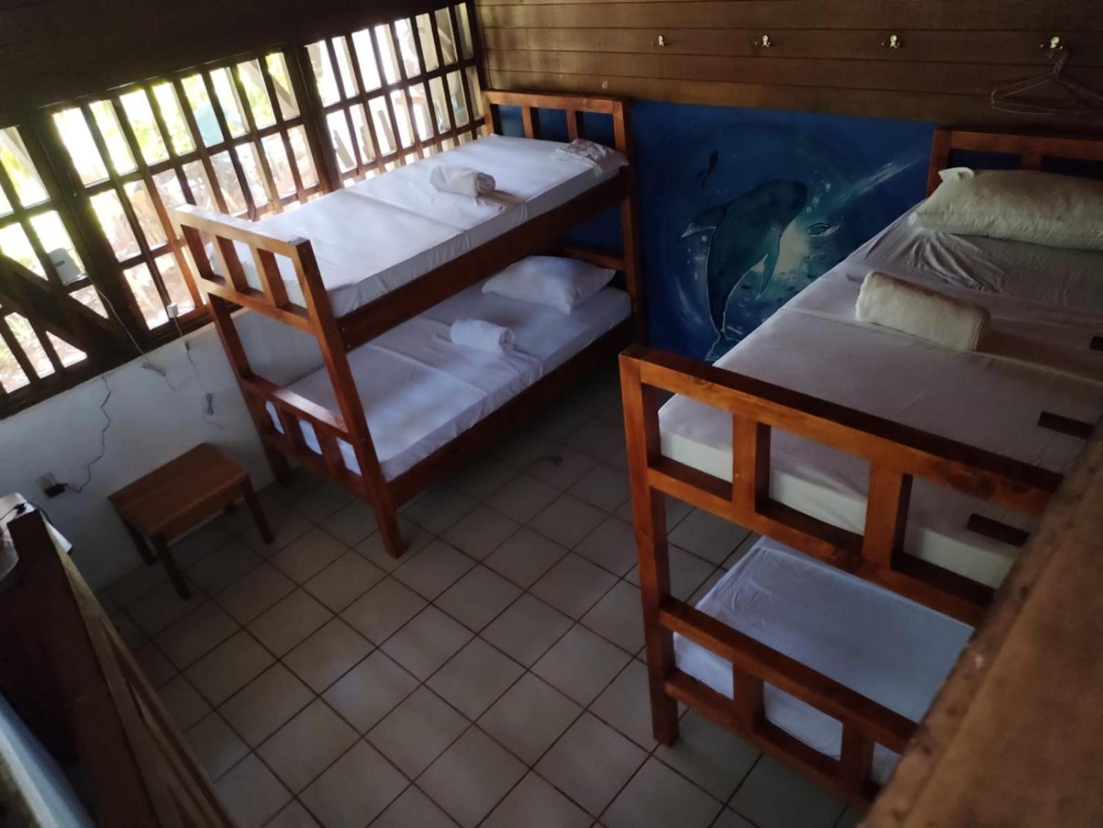 Pirate Drake Beach Hostel & Tour Company Drake Bay Bagian luar foto