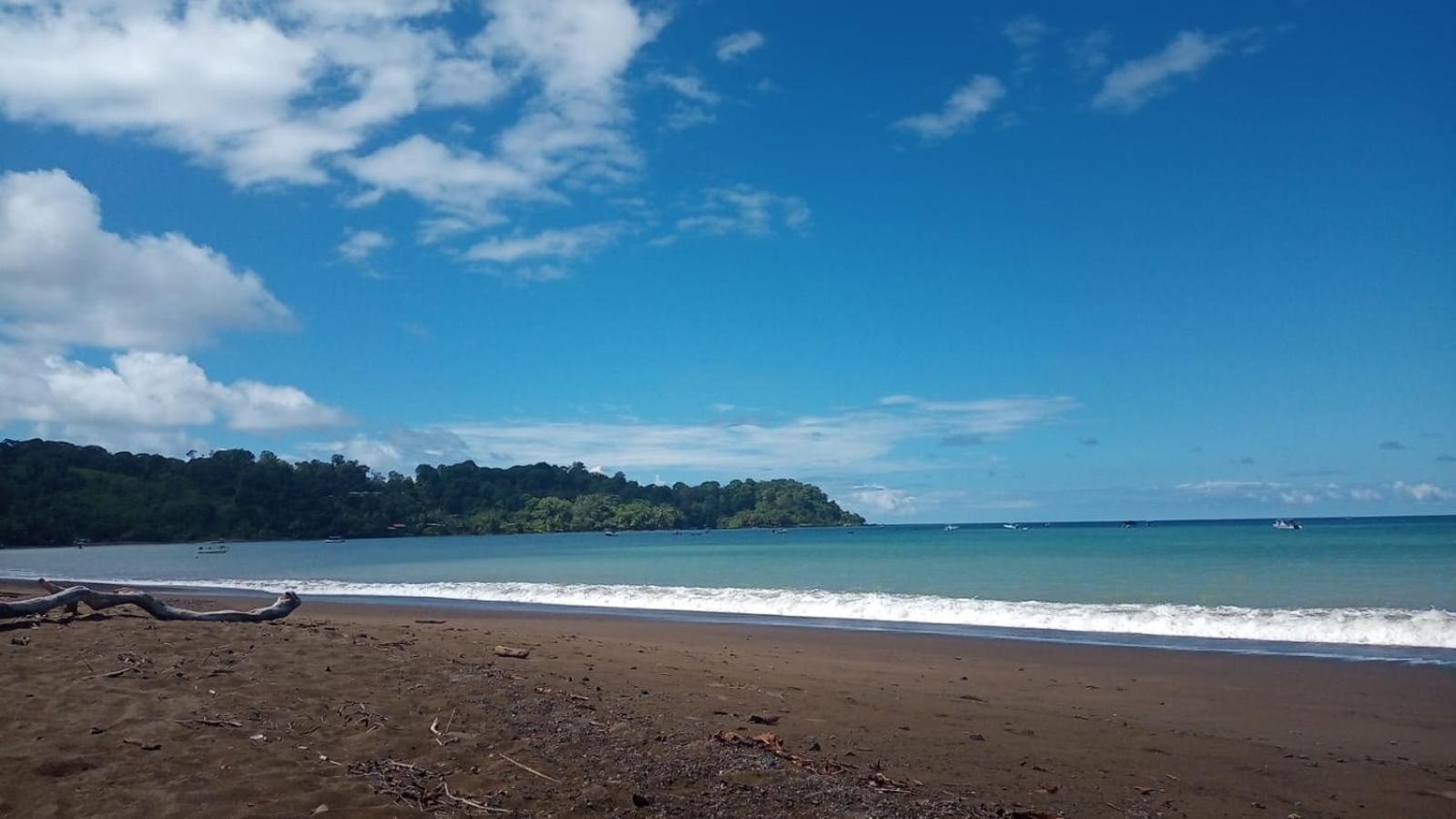 Pirate Drake Beach Hostel & Tour Company Drake Bay Bagian luar foto