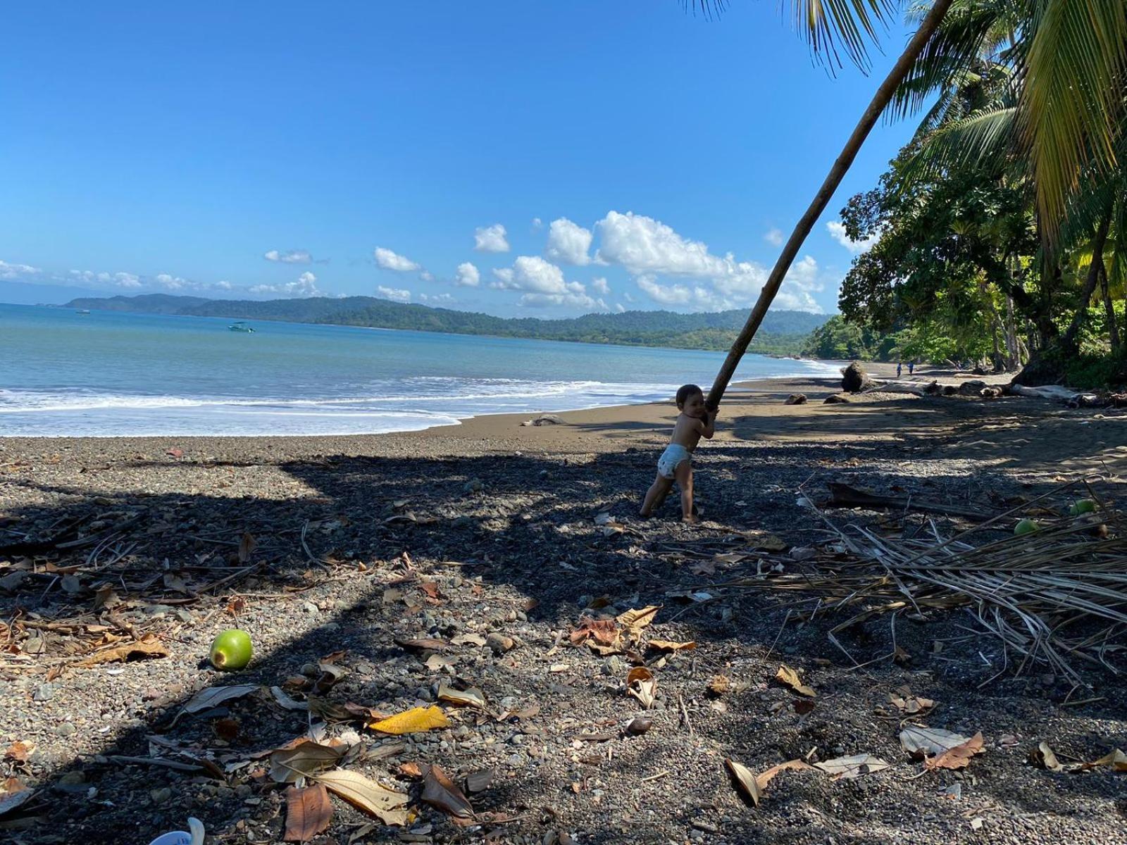 Pirate Drake Beach Hostel & Tour Company Drake Bay Bagian luar foto